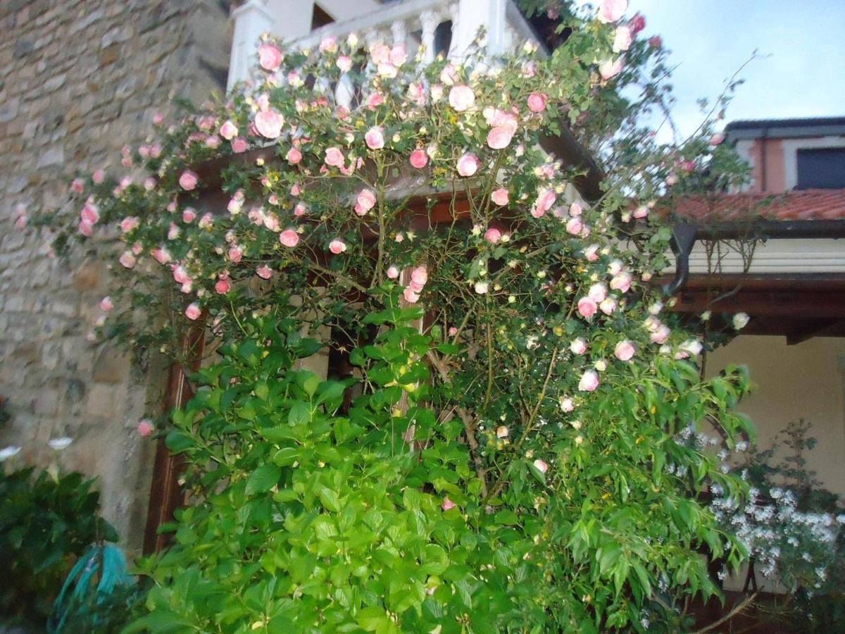 Hotel Arenas De Cabrales- Apartamentos מראה חיצוני תמונה